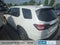 2024 Honda Pilot EX-L 8 Passenger
